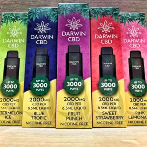 Darwin CBD 2000mg 3000 Puff Disposable